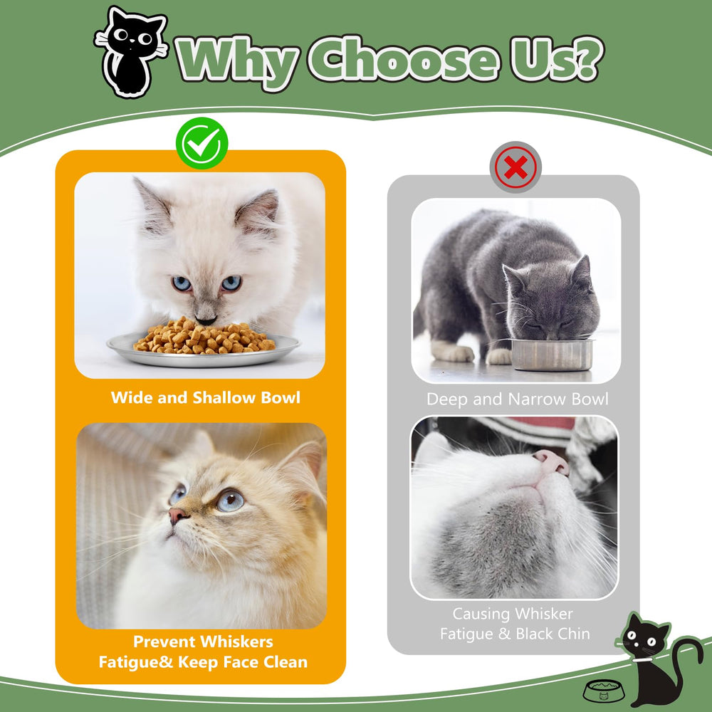 Petdream: tazones de acero inoxidable con diseño bajo para reducir contacto con bigotes.