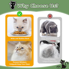 Petdream: tazones de acero inoxidable con diseño bajo para reducir contacto con bigotes.