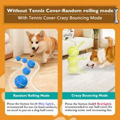 PetDroid bola interactiva con luces multicolor para captar la atención.