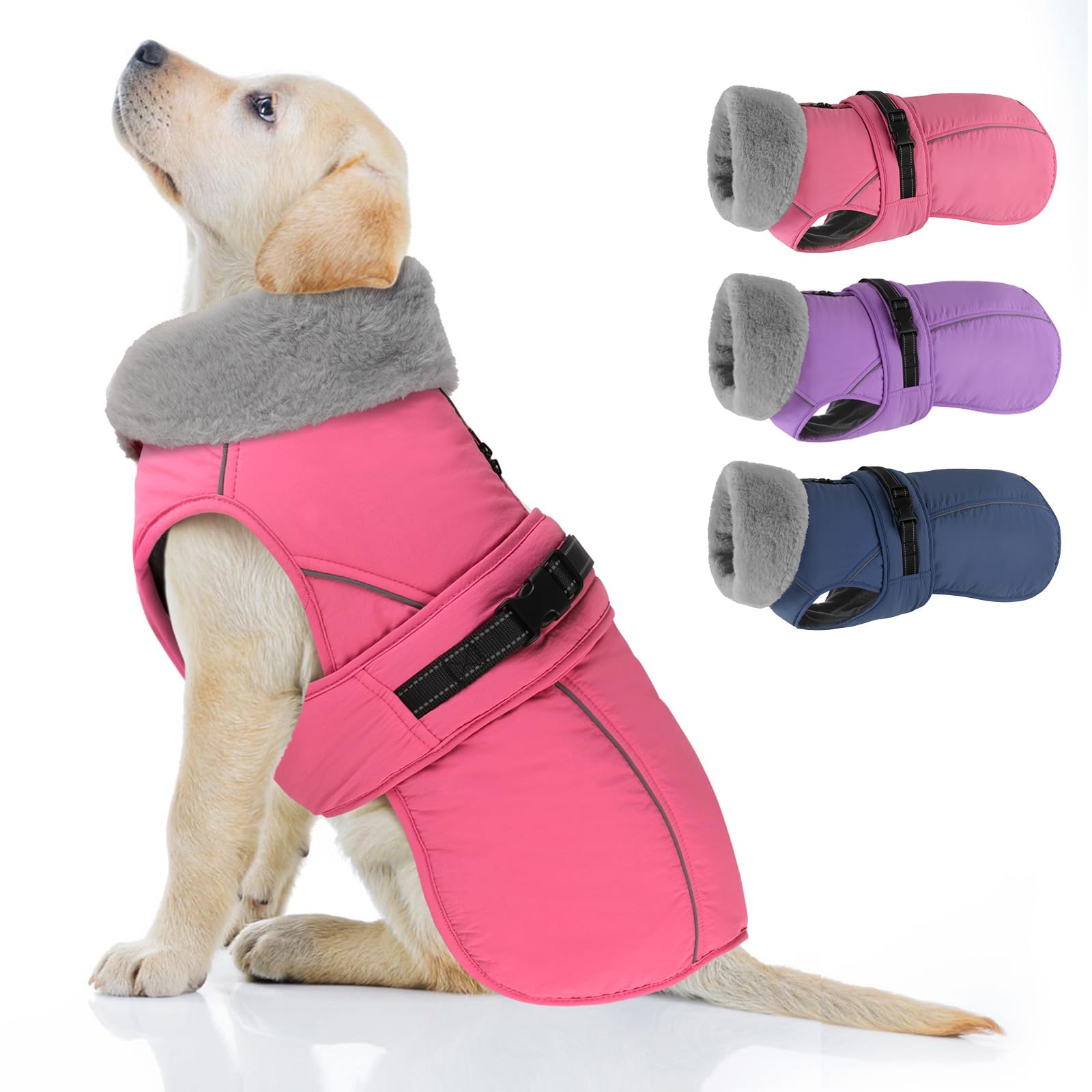 PETDSH capa de invierno antiviento para perros, ideal para paseos al aire libre