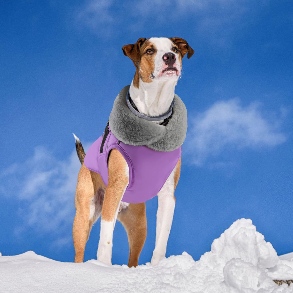 PETDSH diseño de tallas para perros facilita un ajuste cómodo