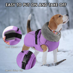 PETDSH chaqueta con cremallera y orificio para correa impermeable, manteniendo al perro seco