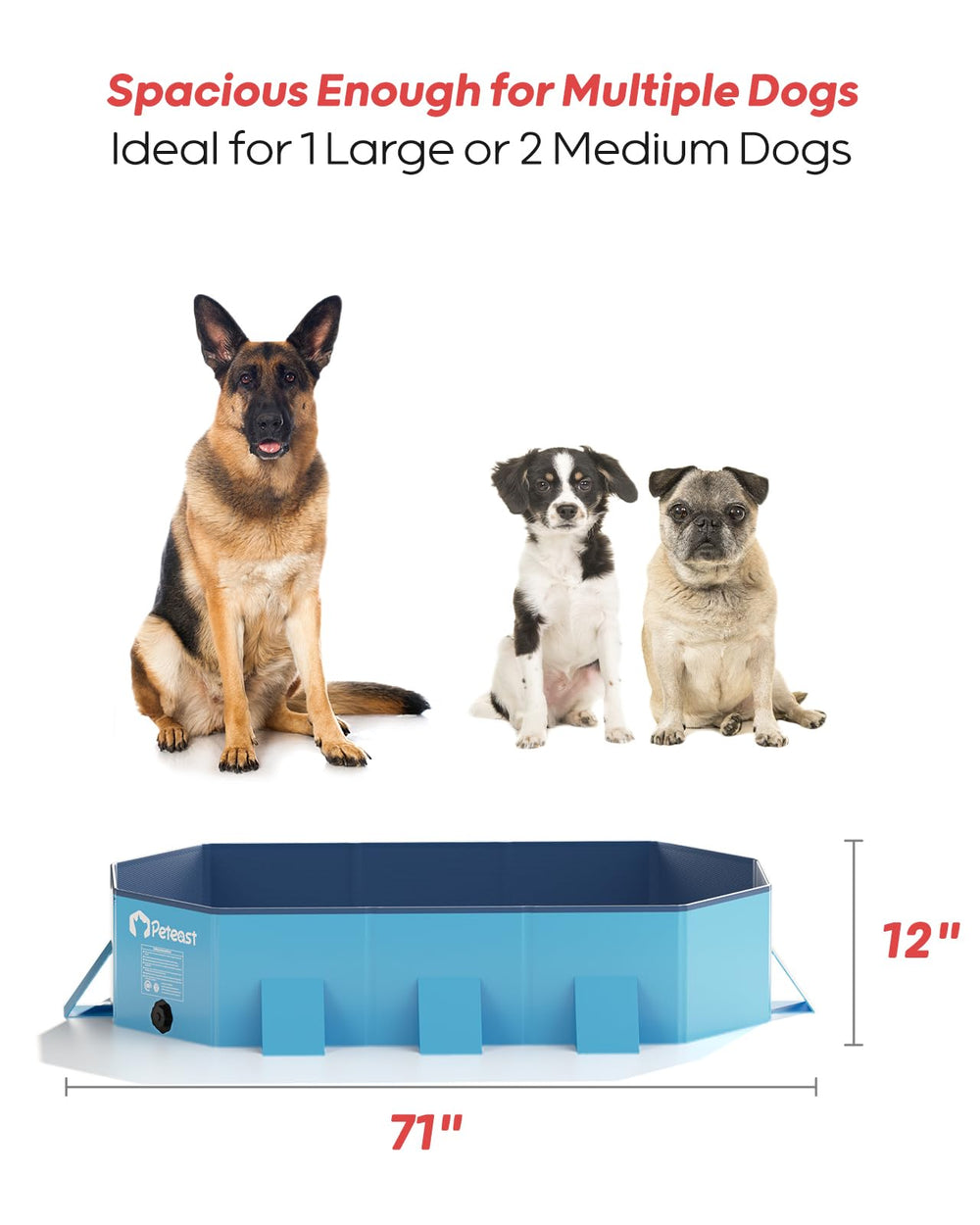 Peteast piscina para perros almacenamiento compacto facilita transporte y guardado