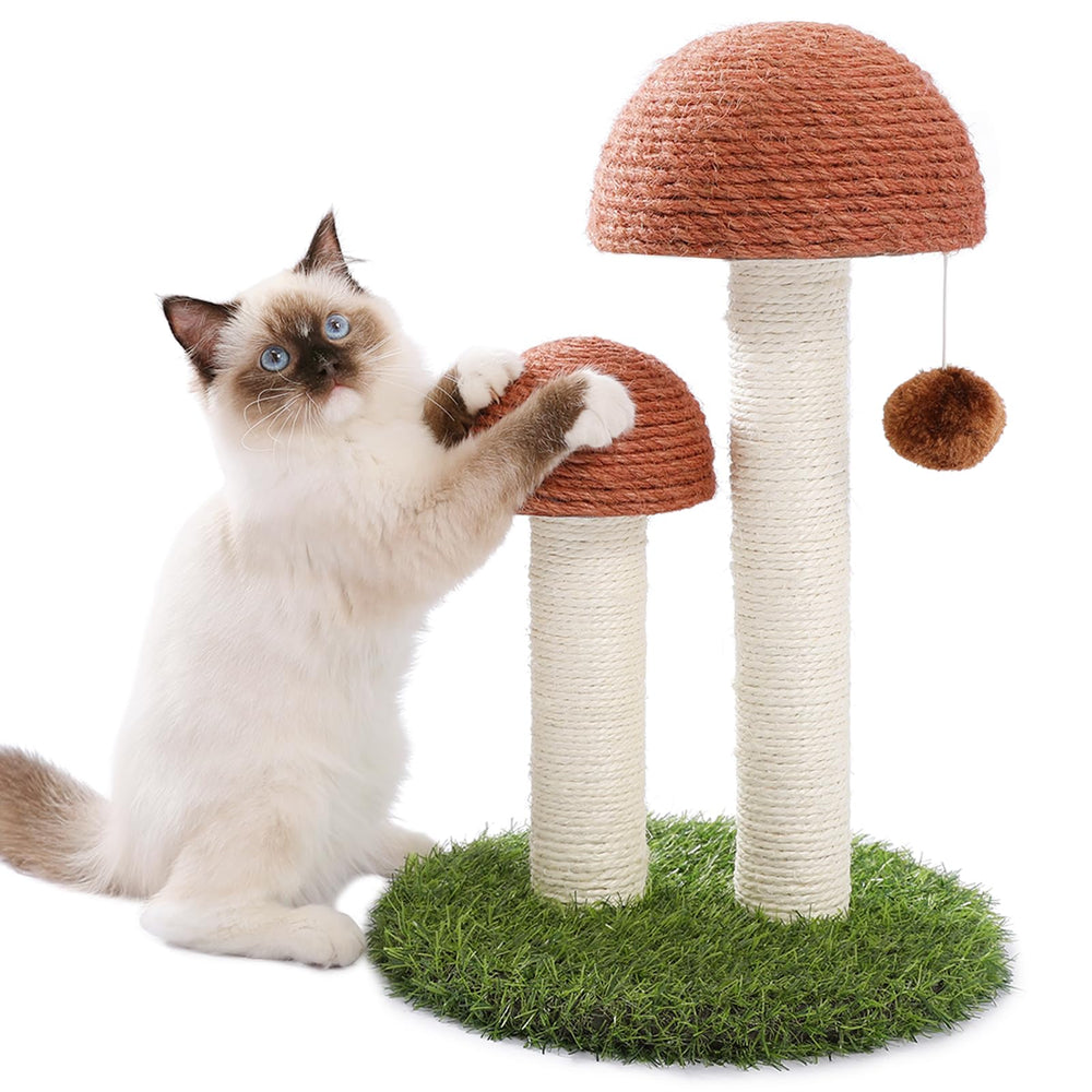 PETEPELA poste rascador hongo alto con sisal, ideal para afilar uñas y explorar
