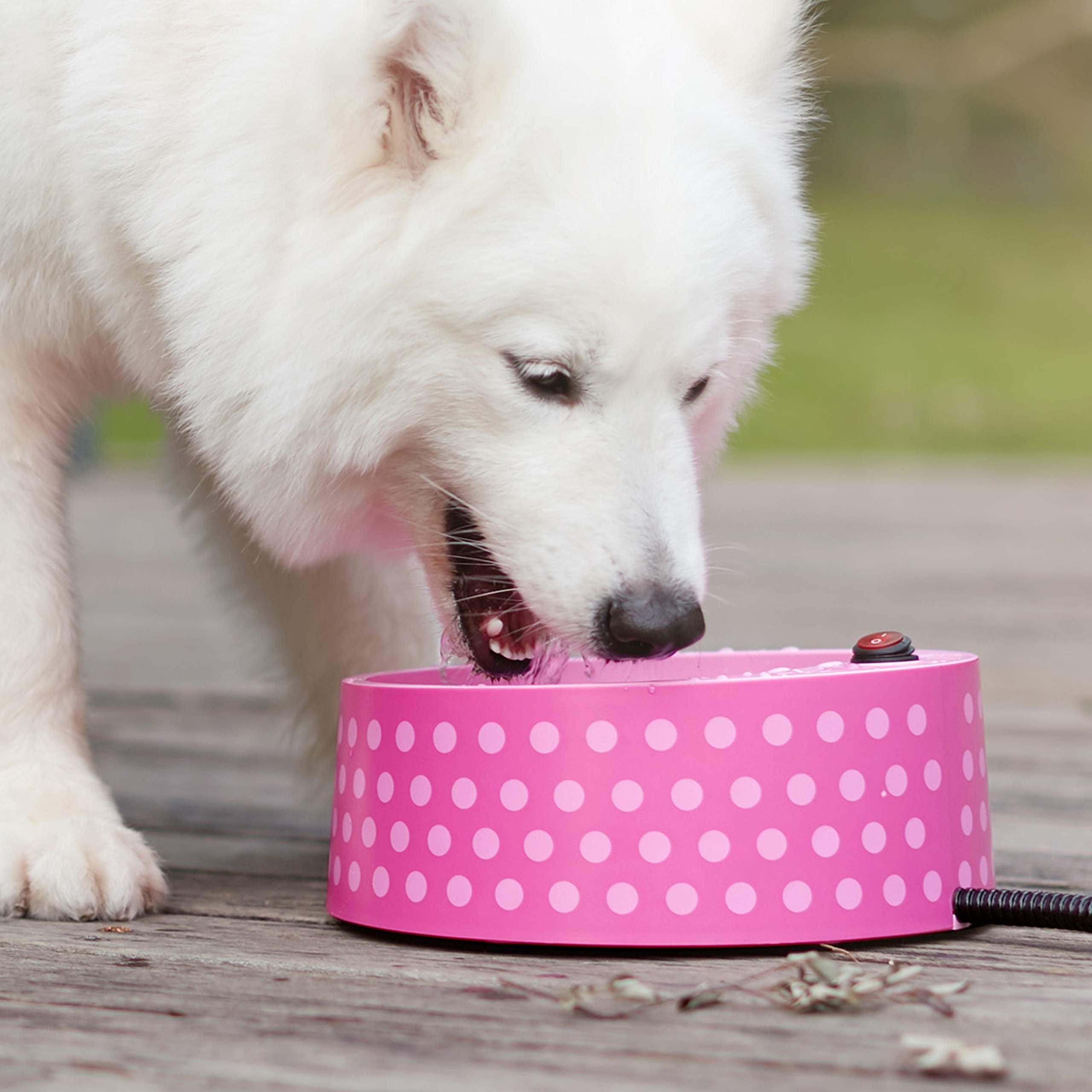 Petfactors tazón caliente para mascotas en exterior mantiene el agua tibia para perros y gatos.