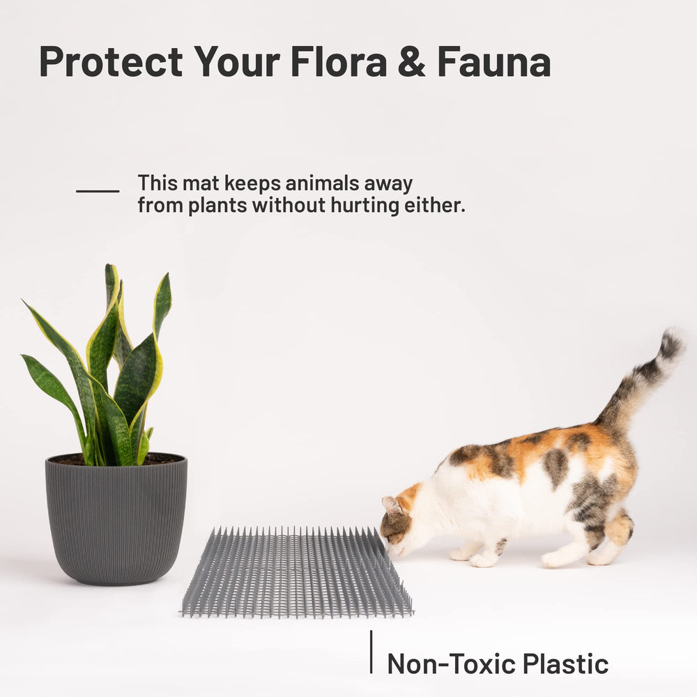Petfolio cobertura de 36 pies cuadrados para proteger plantas y muebles.