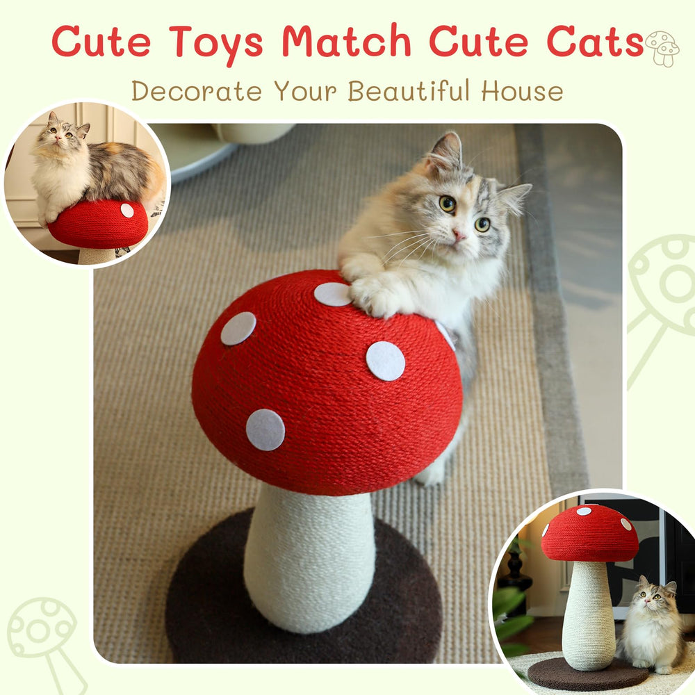 PETFROH base amplia para mayor estabilidad durante juego.