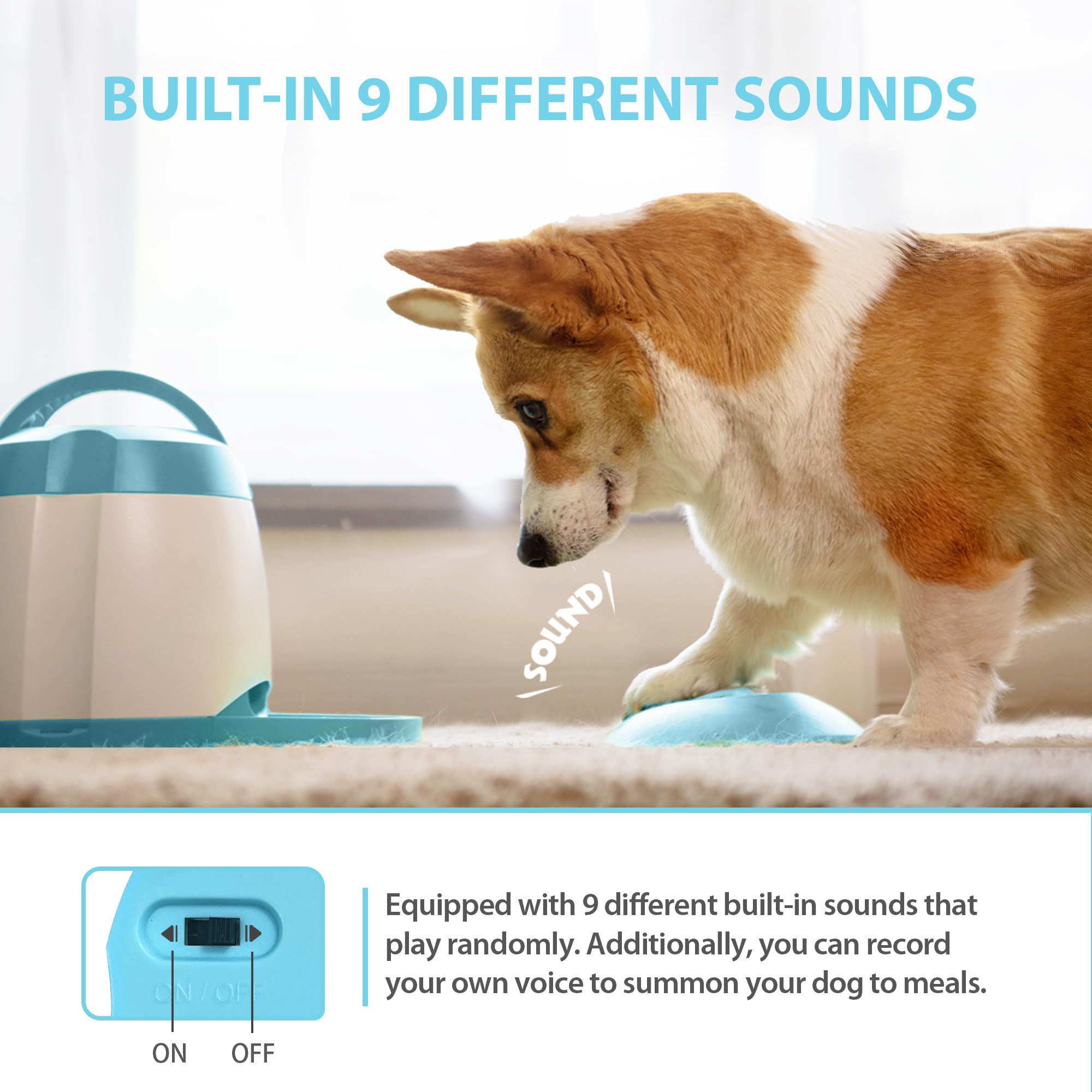 PETGEEK tolva transparente, facilita ver y rellenar la comida.