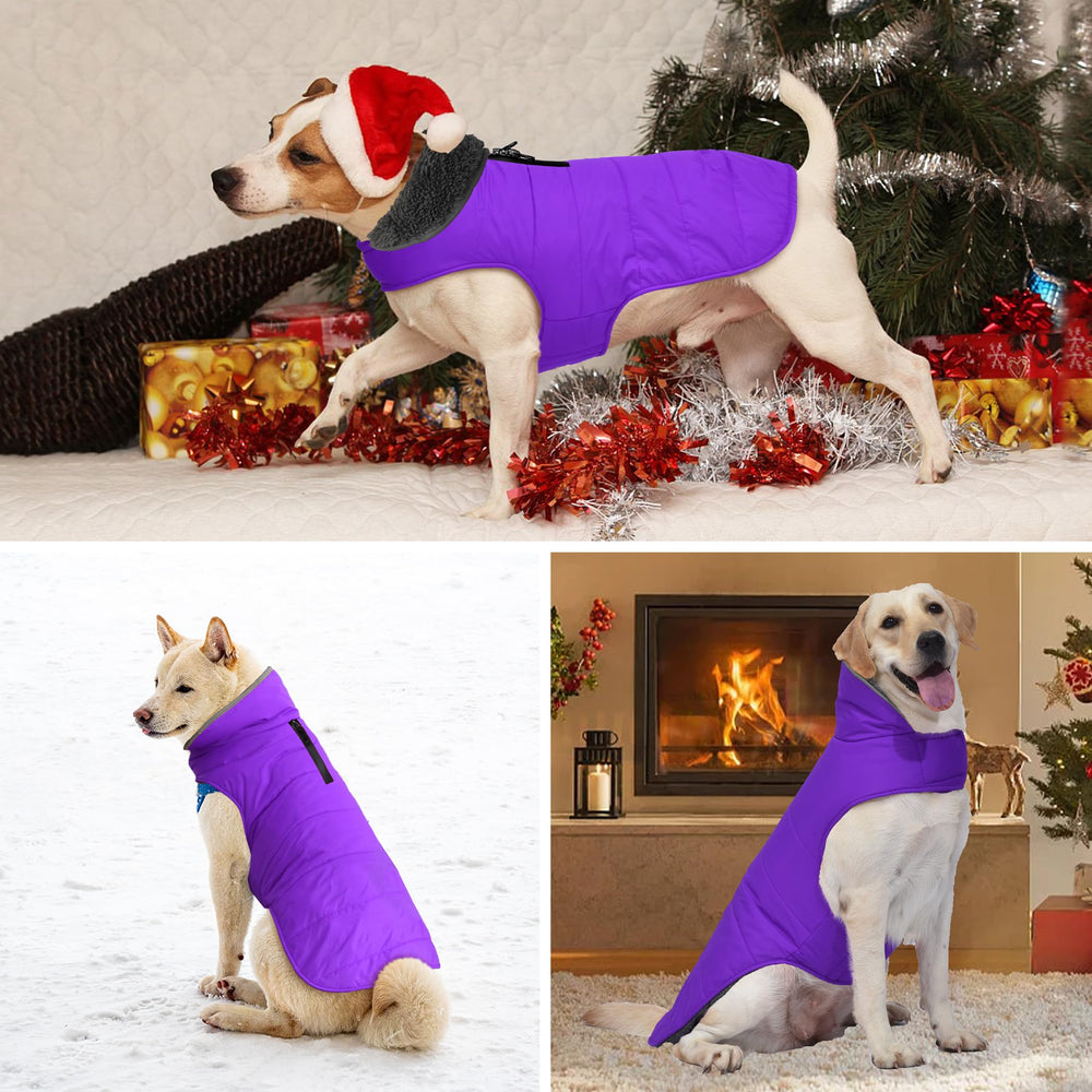 Petglad abrigo reflectante para perros, mejora la visibilidad en caminar nocturno.