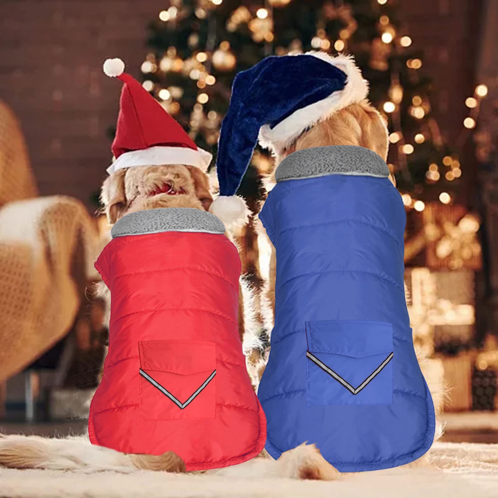 Petglad ajuste velcro para pecho y cuello