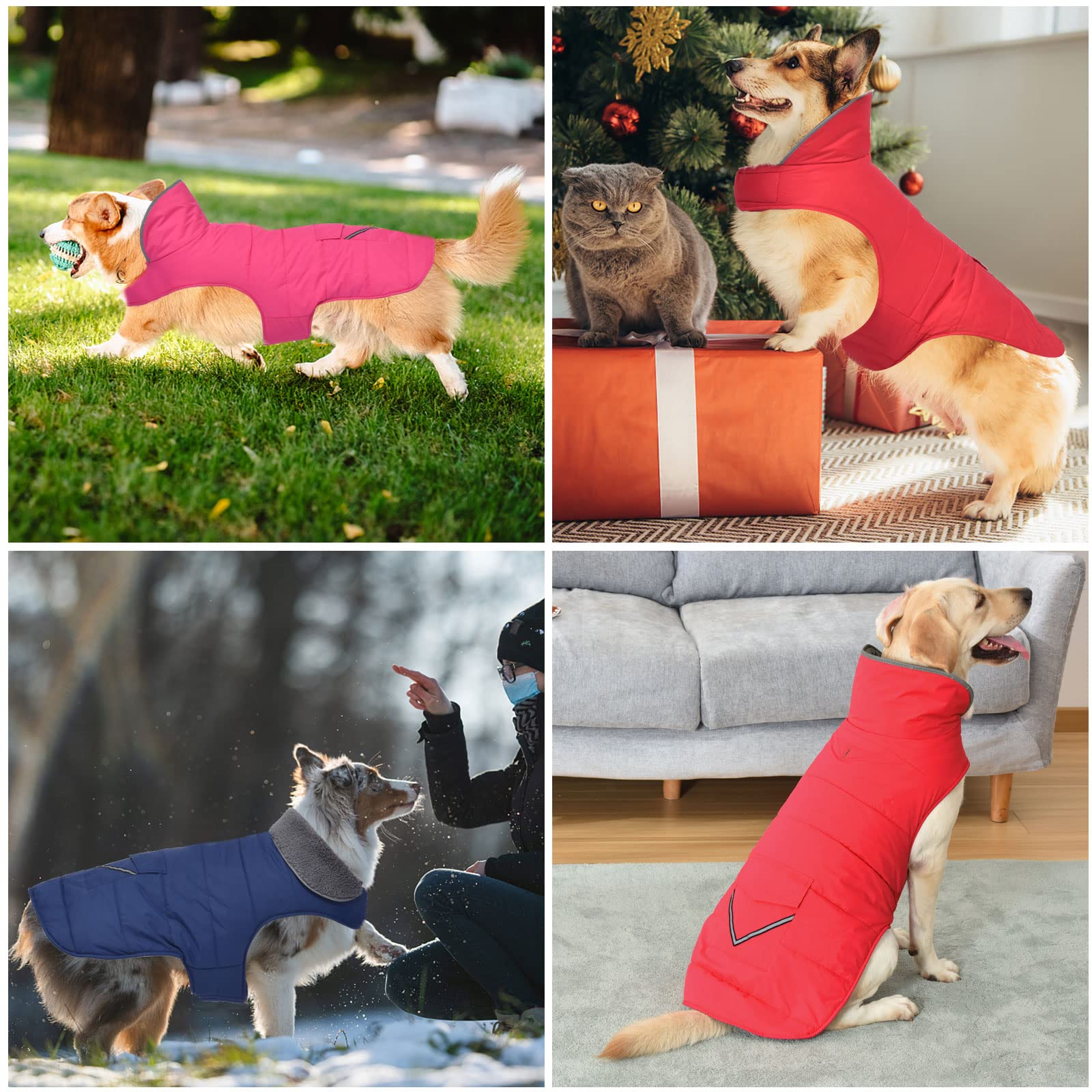 Petglad bandas reflectantes mejoran visibilidad nocturna