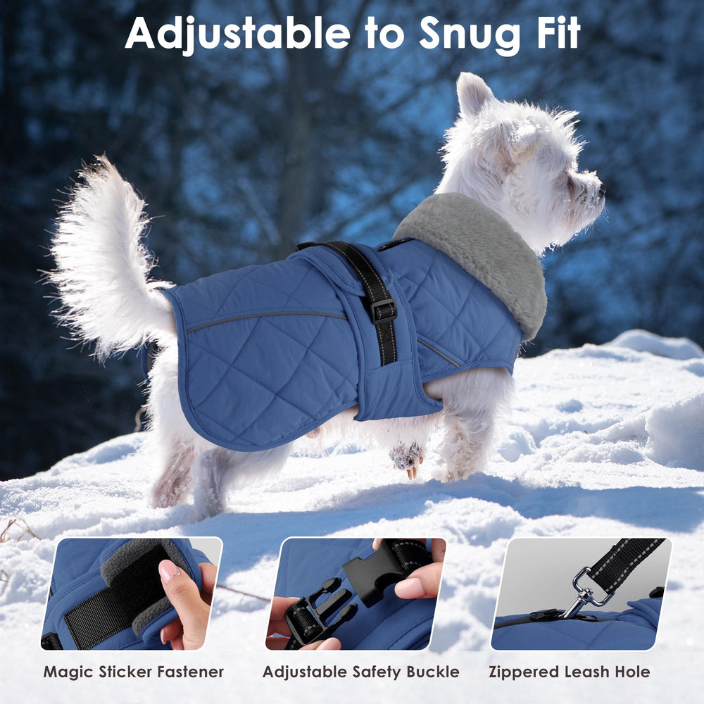 Petglad capa con cuello alto: cubre cuello y orejas para mayor abrigo.