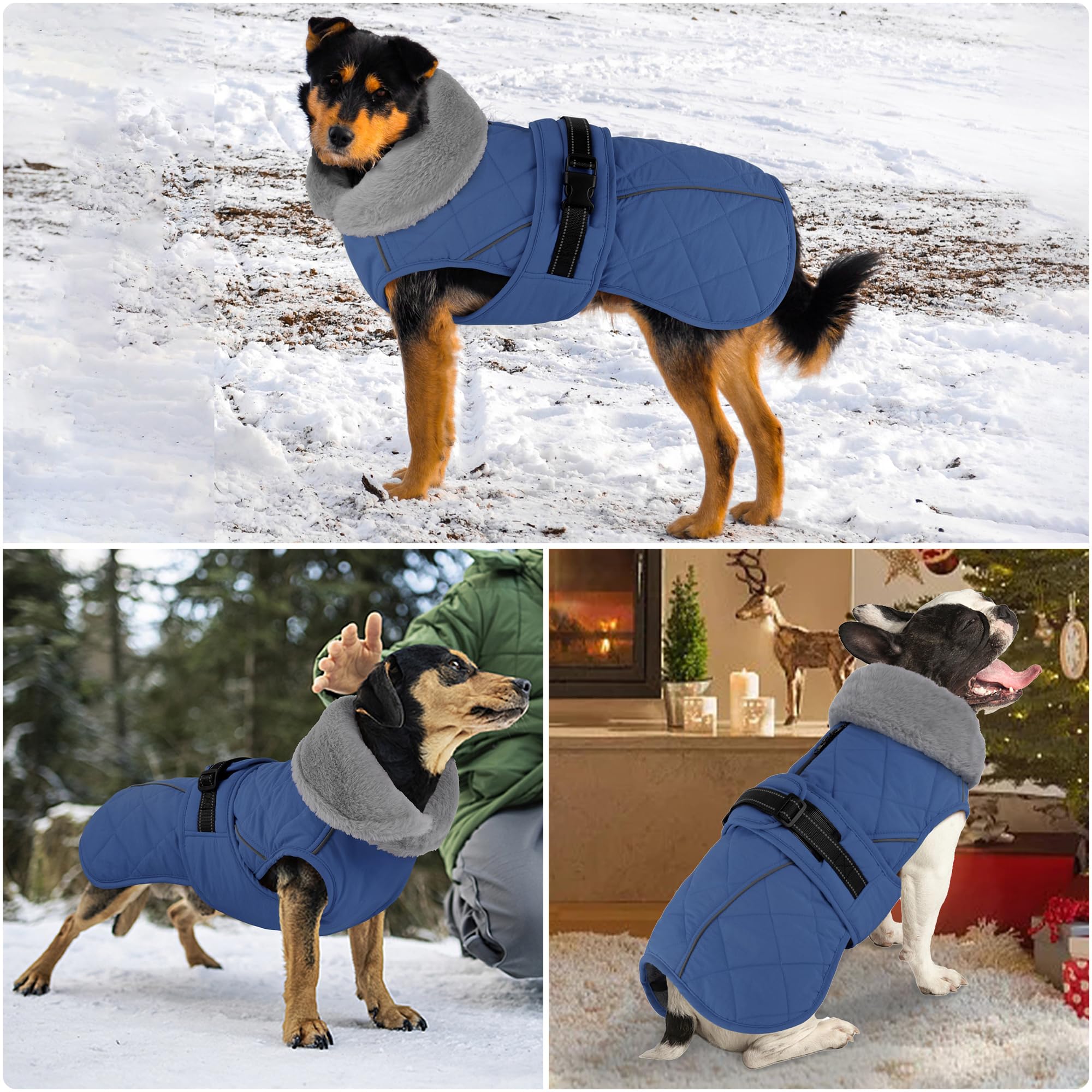 Petglad capa con cierre ajustable y hebilla de seguridad: ajuste cómodo.