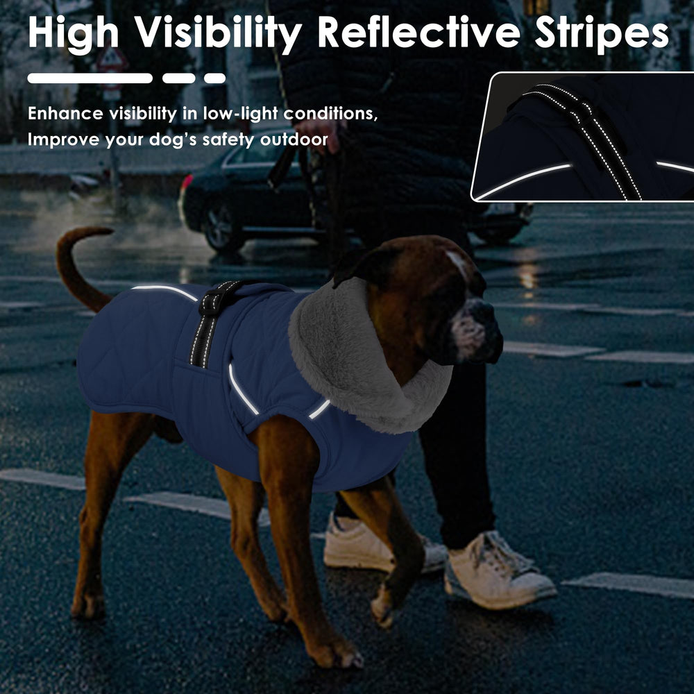 Petglad capa reflectiva: mejor visibilidad en caminatas nocturnas.