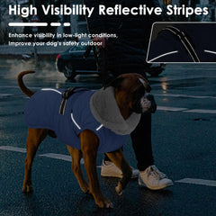 Petglad capa reflectiva: mejor visibilidad en caminatas nocturnas.