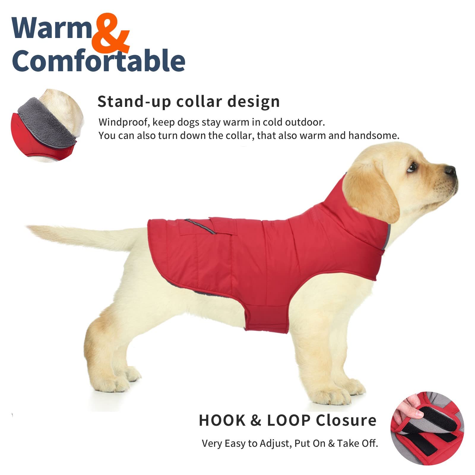 Petglad chaleco ajustable con cierre de velcro para mayor comodidad.