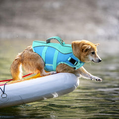 Petglad chaleco con tiras reflectantes para mayor visibilidad