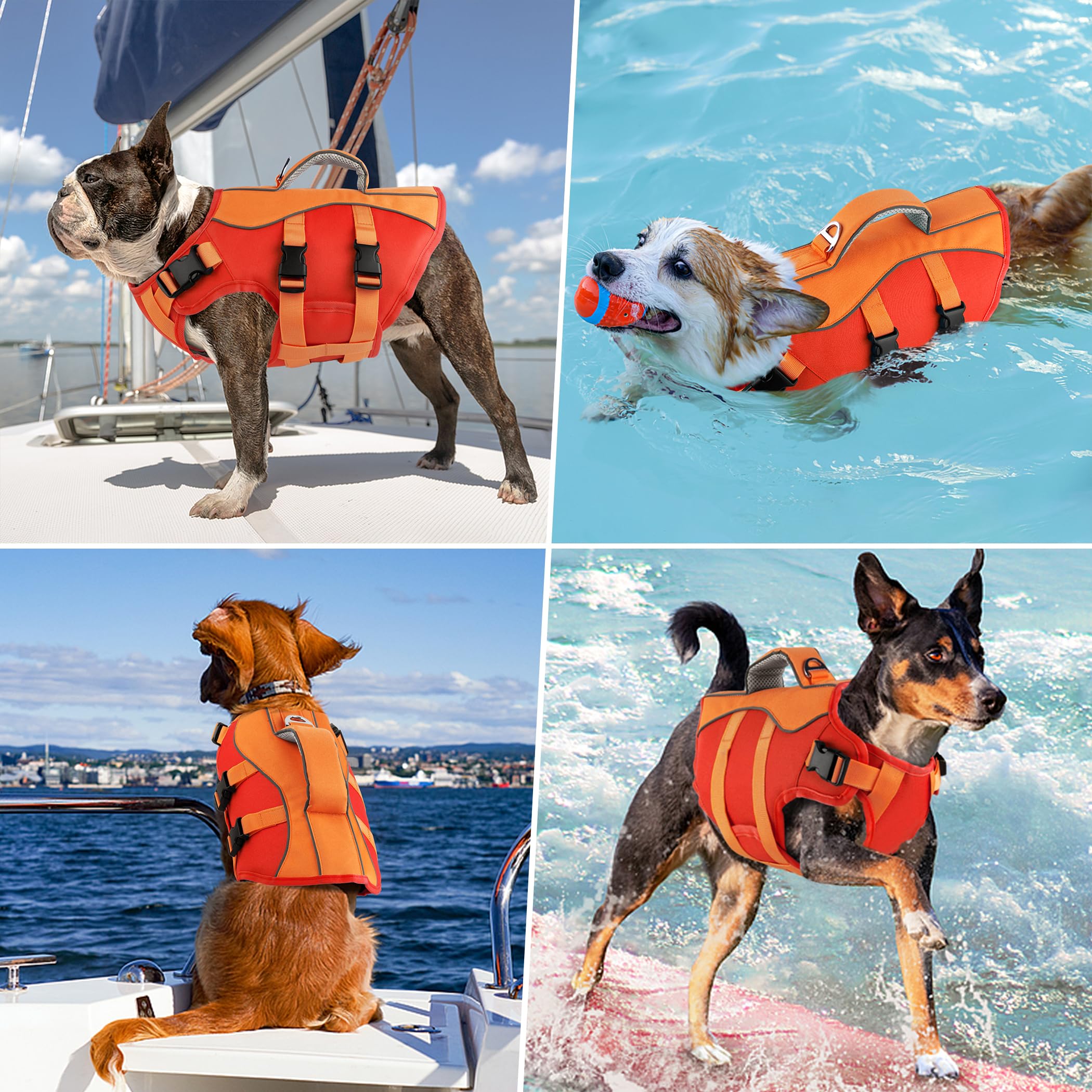 Petglad cierre ajustable, ajuste cómodo y seguro