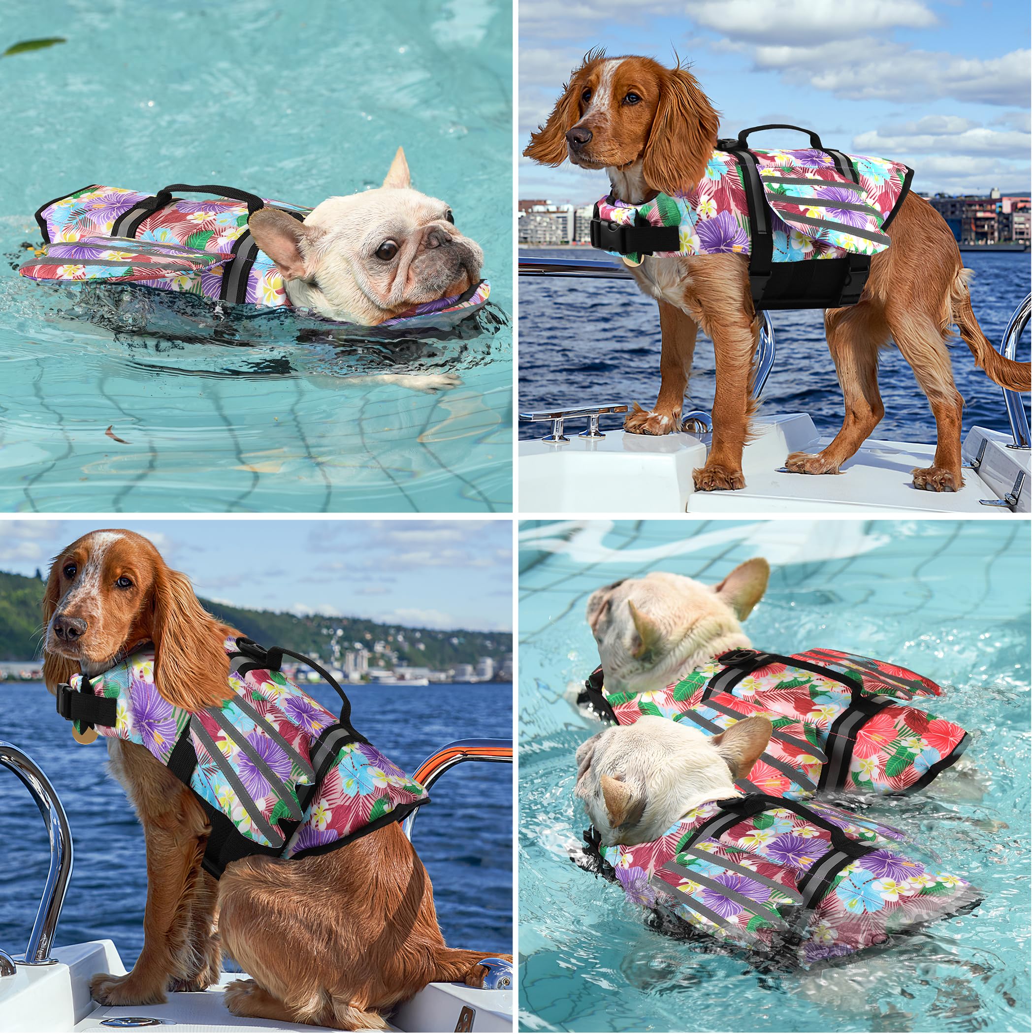 Petglad flotador de mentón alto mantiene la cabeza fuera del agua.