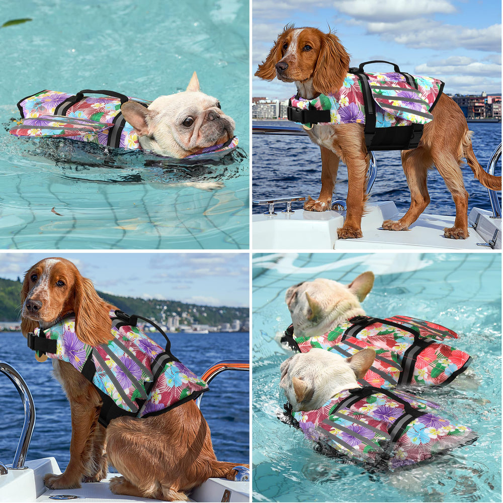 Petglad flotador de mentón alto mantiene la cabeza fuera del agua.