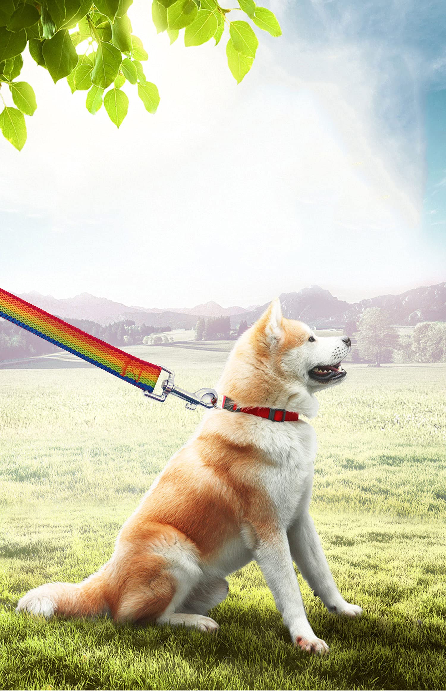 PetGOGO entrenamiento-perro para mejorar la devolución con suavidad