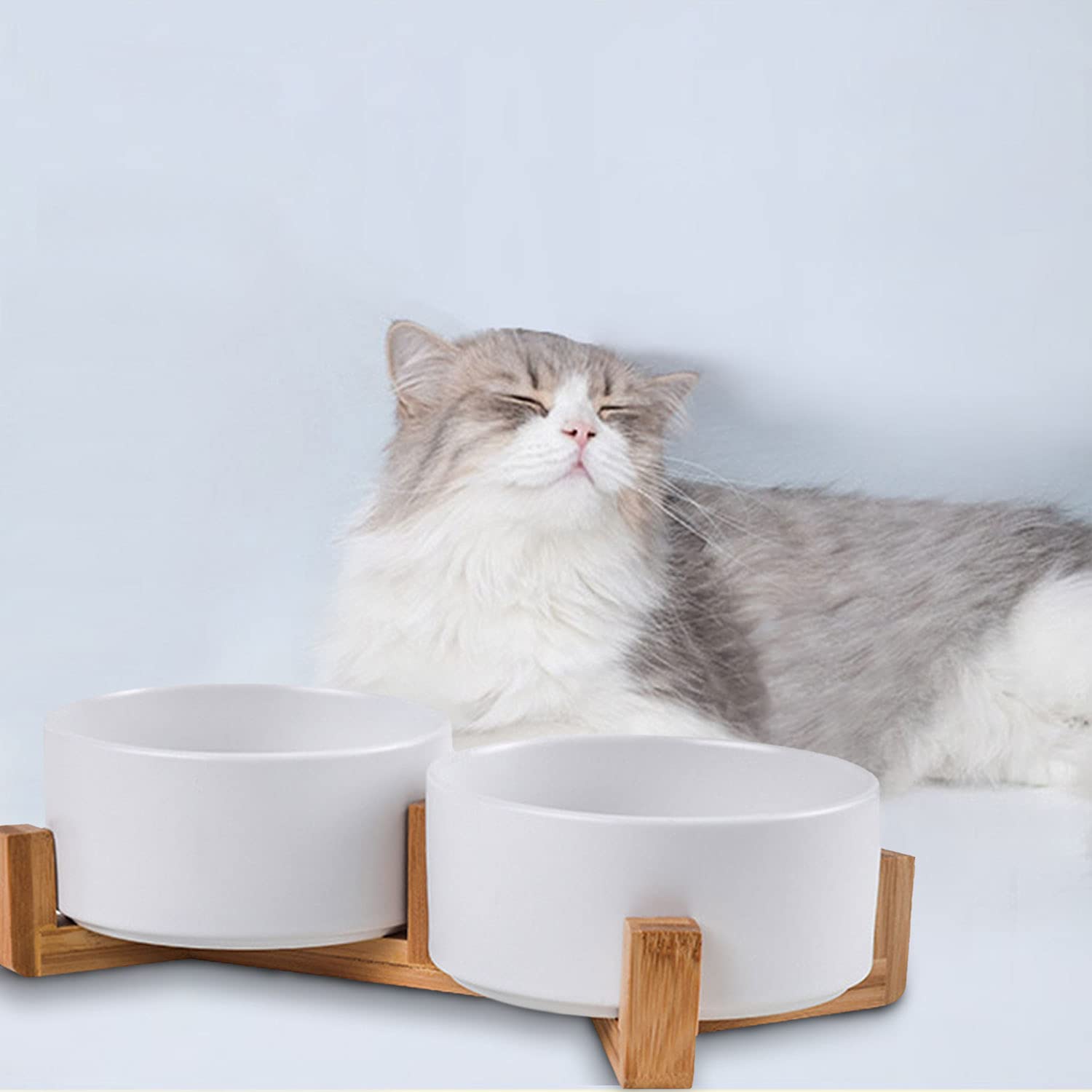 Tazones dobles de Petygooing: comida y agua para mascotas.