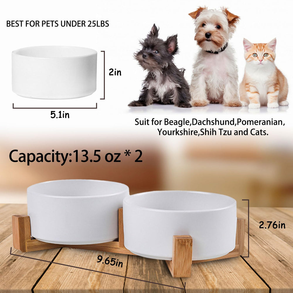 Tazón cerámico Petygooing de porcelana, capacidad 400 ml para comida o agua.