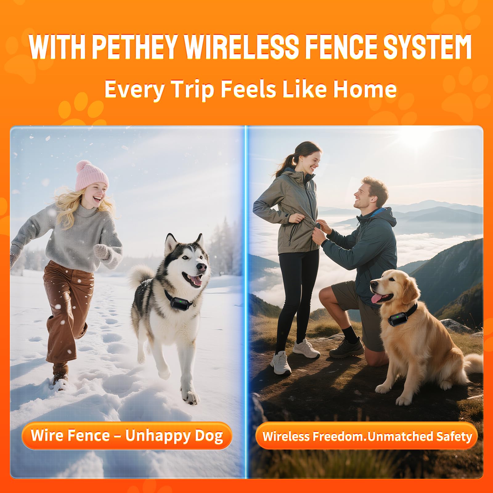 PETHEY F900 collar ligero para paseos diarios.