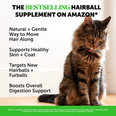 Pet Honesty cobertura crujiente para bolas de pelo, sabor atractivo