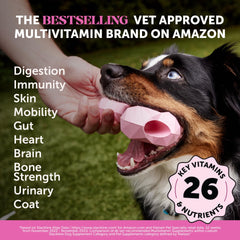 Pet Honesty pastillas masticables para perros, sabor mantequilla de maní que muchos perros aceptan.