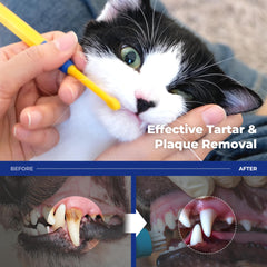 PETHROOM cepillo dental para gatito con mango ergonómico para agarre cómodo