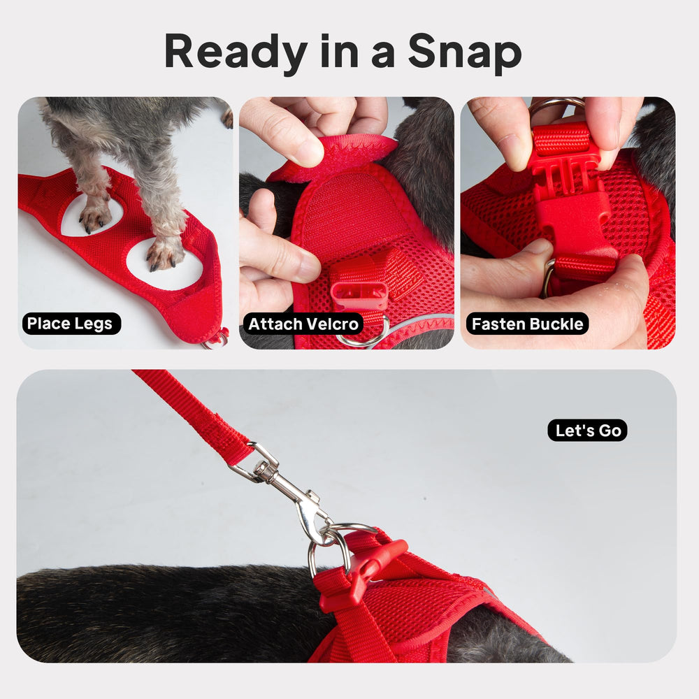 Ajuste rápido y seguro para gatos pequeños durante paseos diarios.