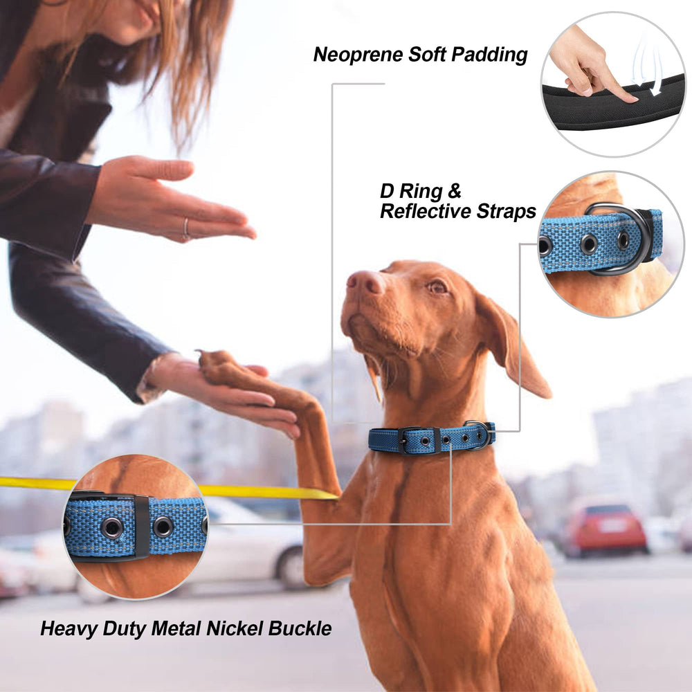 PetiFine collar para perro grande acolchado neopreno para mayor confort durante paseos.