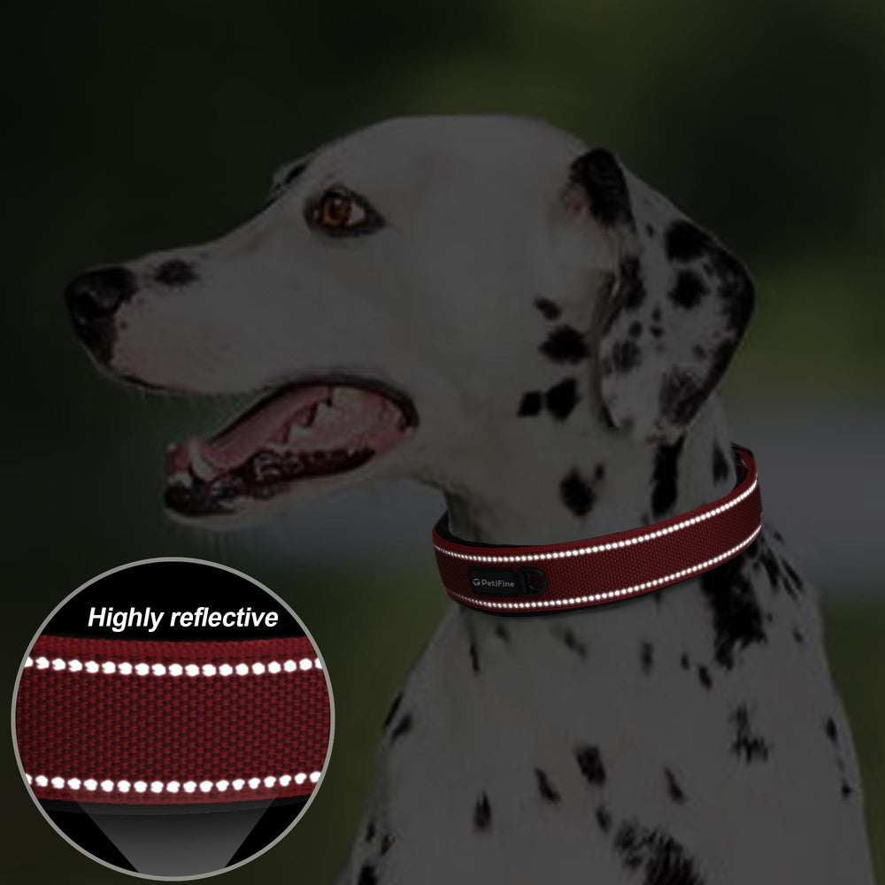 PetiFine collar perro grande con cinta reflectiva 360 para mejor visibilidad