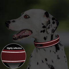PetiFine collar perro grande con cinta reflectiva 360 para mejor visibilidad