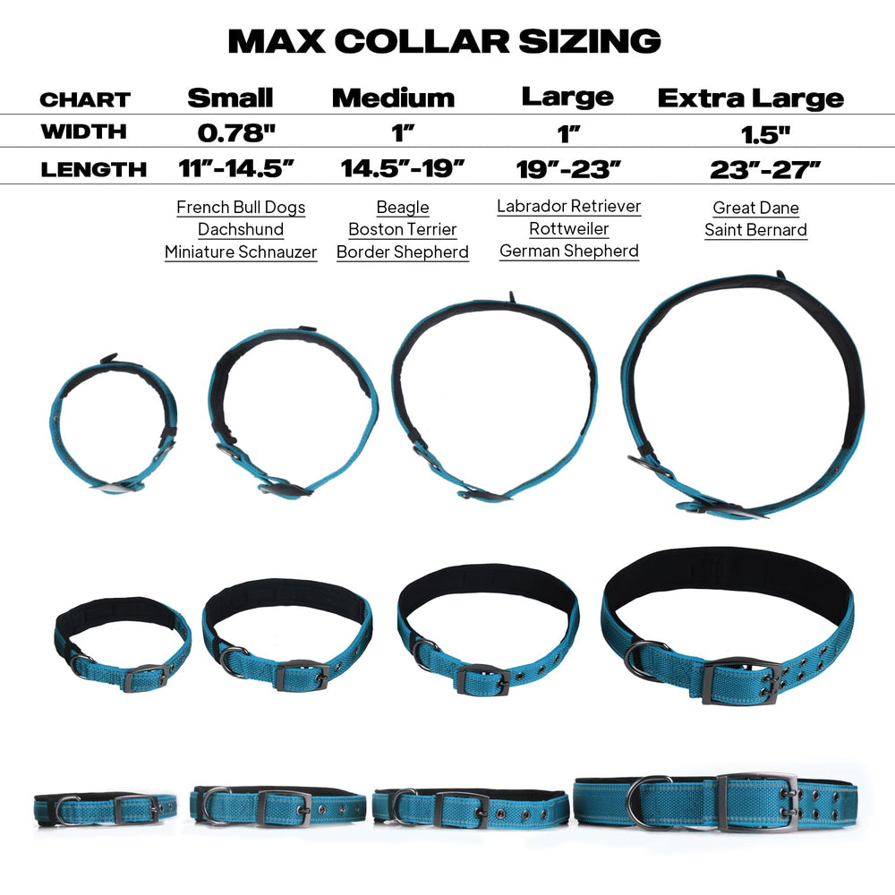 PetiFine collar grande de alta durabilidad con hebilla de metal para paseos seguros.