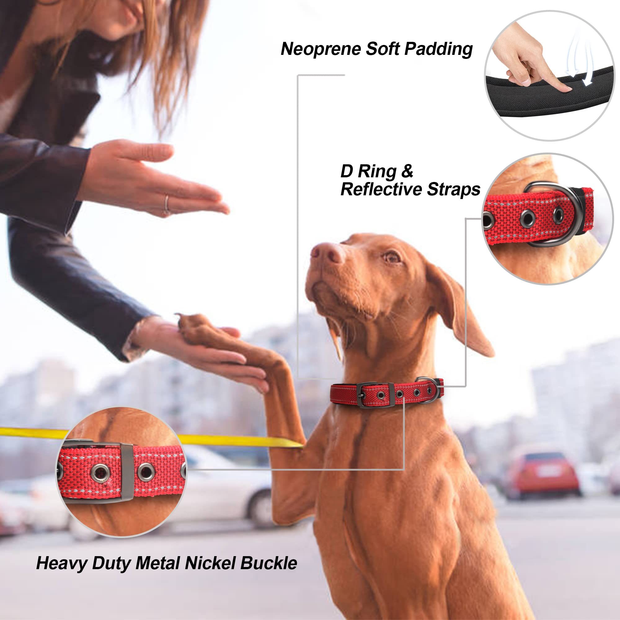PetiFine collar perro grande con hebilla de metal duradera para uso diario