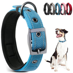 Collar PetiFine para perros grandes con interior de neopreno acolchado para mayor comodidad.