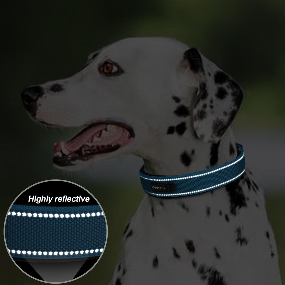 PetiFine collar grande para paseos diarios en azul: durabilidad para horas de actividad.