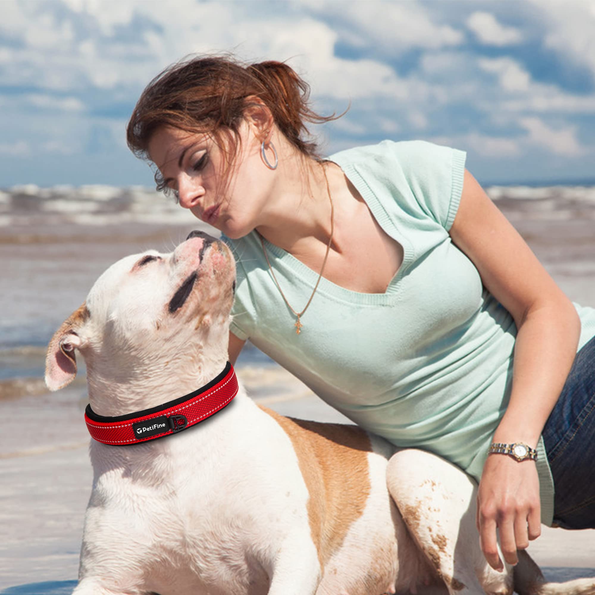 PetiFine collar perro grande para uso diario, cómodo y seguro