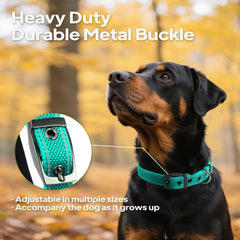 PetiFine collar perro-neopreno acolchado para mayor confort.