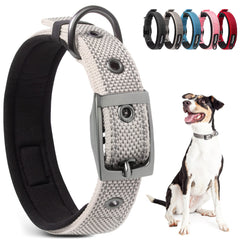 PetiFine collar para perro pequeño con cierre metálico, opción segura para paseos diarios.