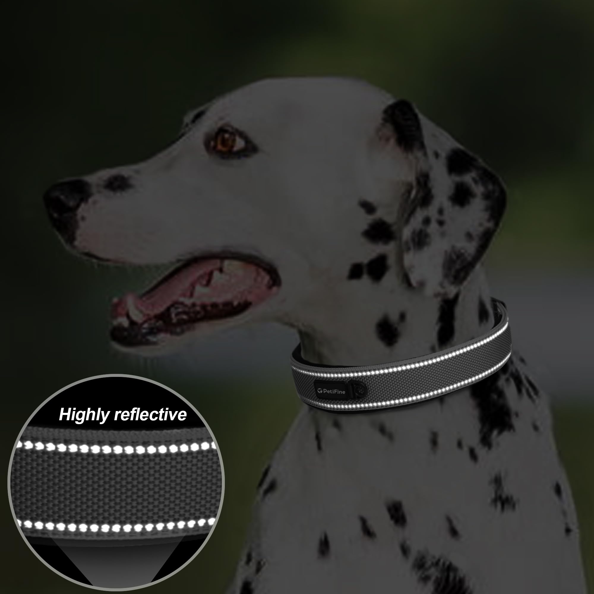 PetiFine collar durable con hebilla metálica para uso diario.