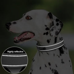 PetiFine collar durable con hebilla metálica para uso diario.
