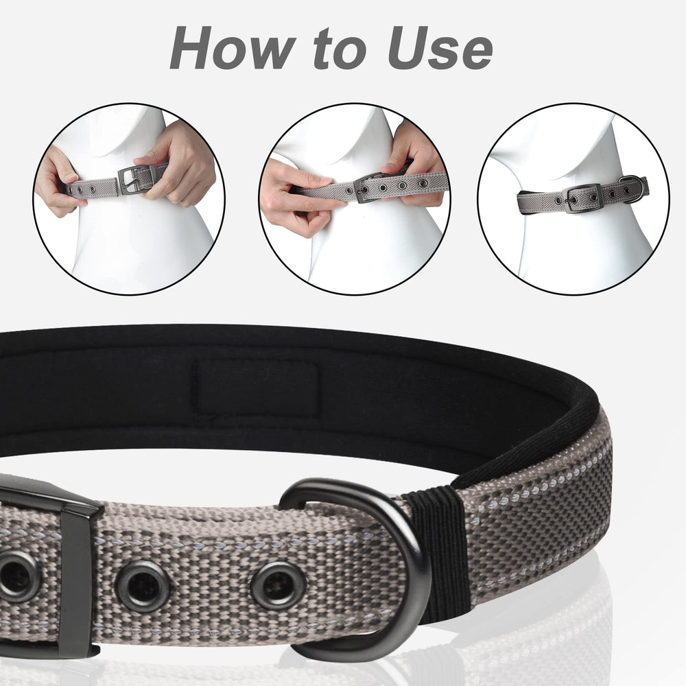 PetiFine collar ideal para paseos matutinos y tardes.