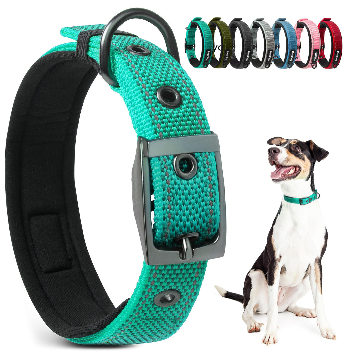 PetiFine collar perro-teal ajustable para paseos cómodos.