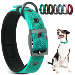 PetiFine collar perro-teal ajustable para paseos cómodos.