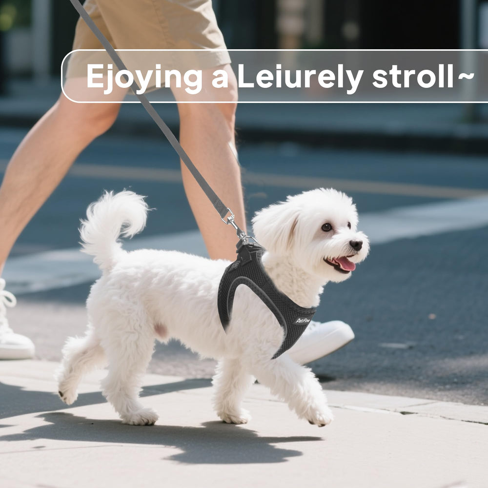 PetiFine arnés para paseos diarios de perros pequeños