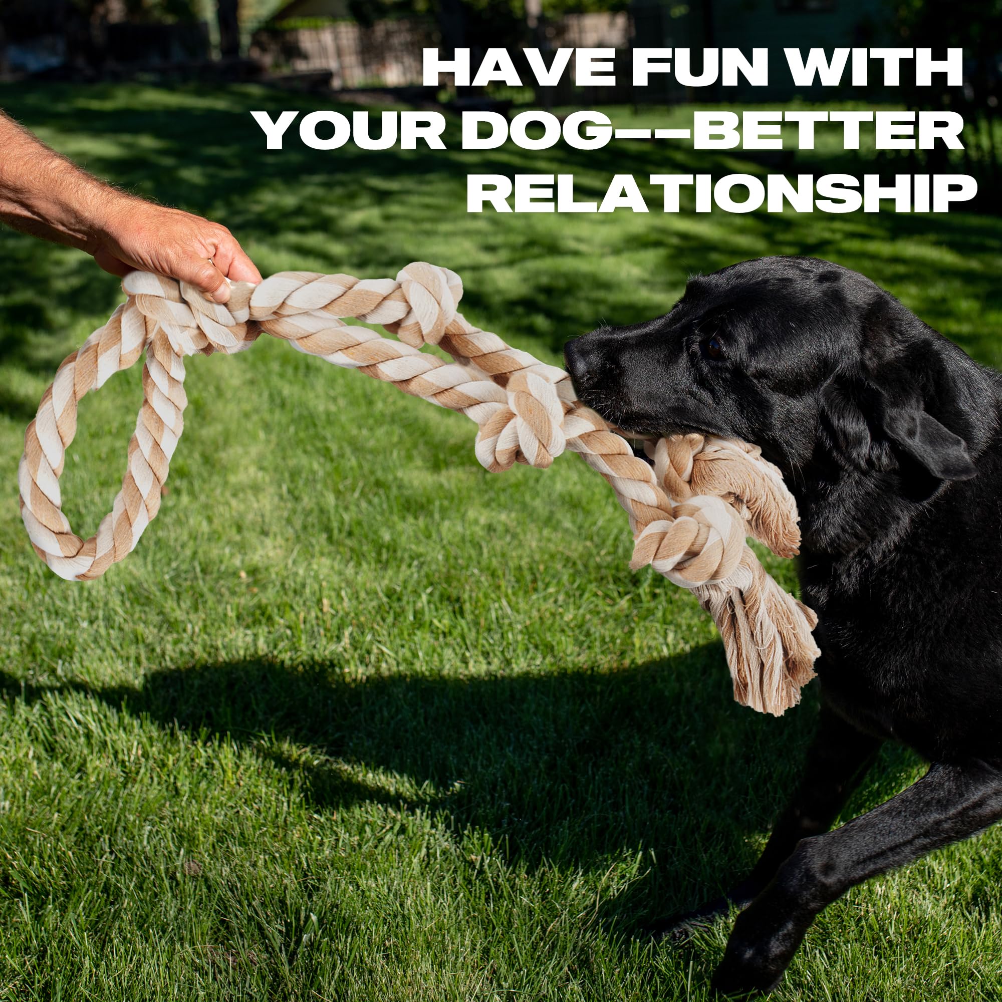 PetiFine Regalo práctico para perros grandes y activos