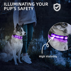 PetIsay collar LED con ajuste total para comodidad en perros grandes